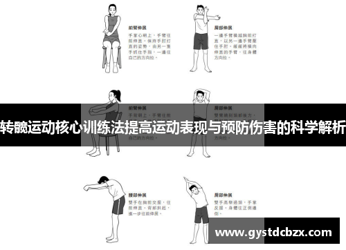 转髋运动核心训练法提高运动表现与预防伤害的科学解析