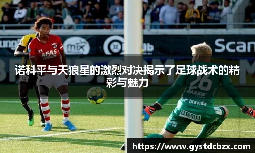 诺科平与天狼星的激烈对决揭示了足球战术的精彩与魅力